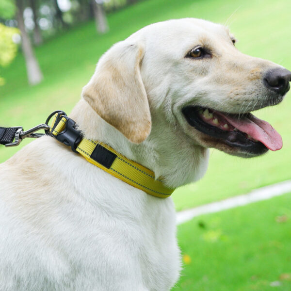 Nylon Pet Collars Reflective Stripe Dog Collars - Image 5