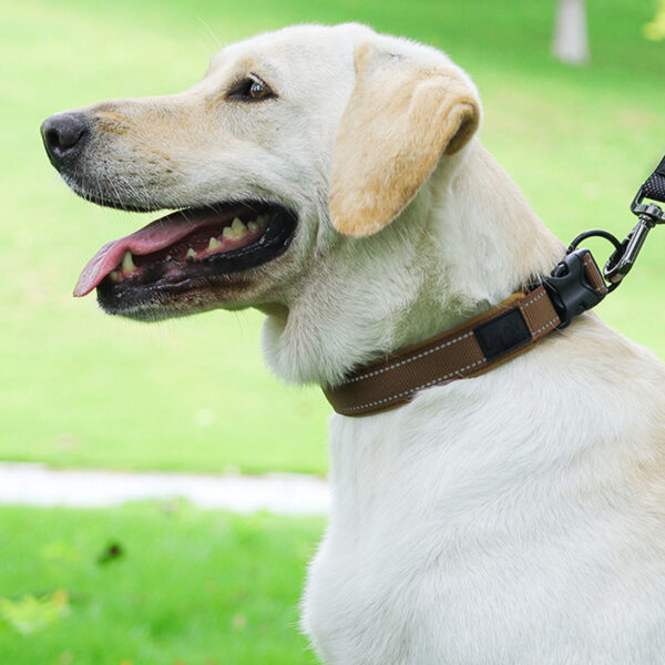 Nylon Pet Collars Reflective Stripe Dog Collars - Image 6