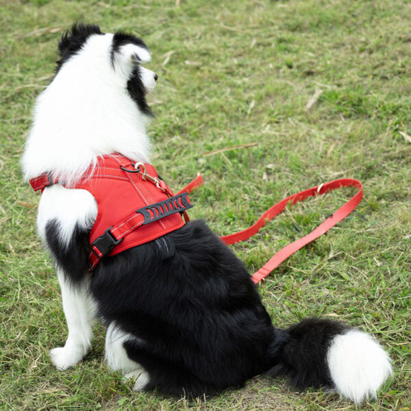 Dog Harness Outdoor Reflective Strips Large Dog Harness - Image 4