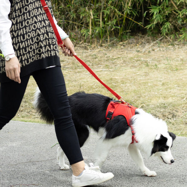 Dog Harness Outdoor Reflective Strips Large Dog Harness - Image 5