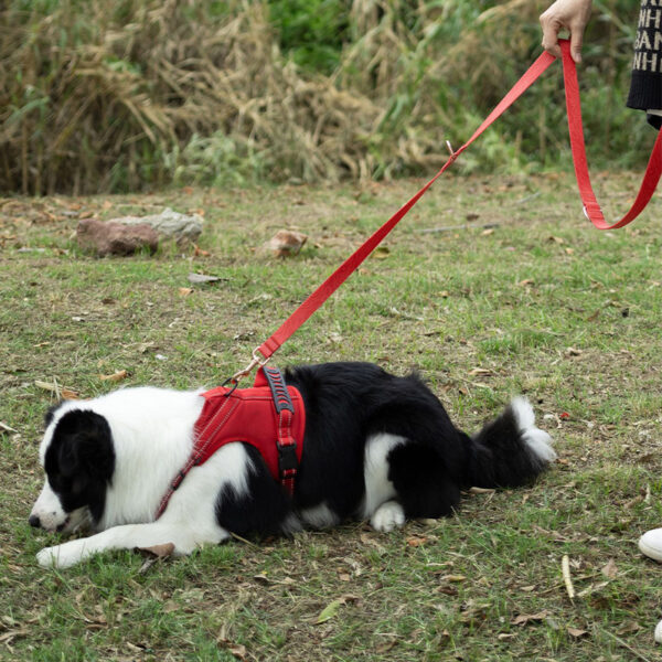 Dog Harness Outdoor Reflective Strips Large Dog Harness - Image 6