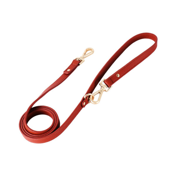 Leather Dog Leash Waterproof Large Dog Pet Leash - Image 2