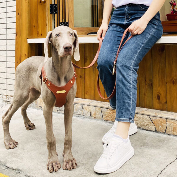 Leather Dog Leash Waterproof Large Dog Pet Leash - Image 7
