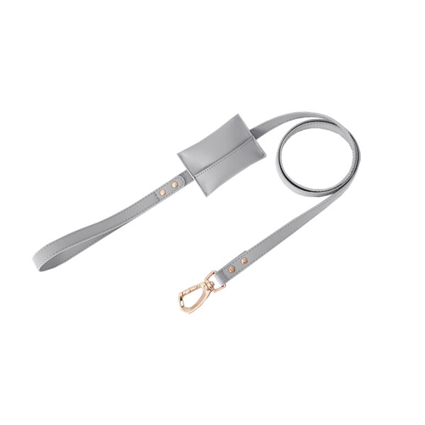 Leather Dog Leashes Fashion Pet Leashes With Pick Up Toilet Bag - Image 6