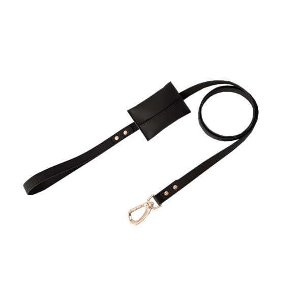 Leather Dog Leashes Fashion Pet Leashes With Pick Up Toilet Bag - Image 2