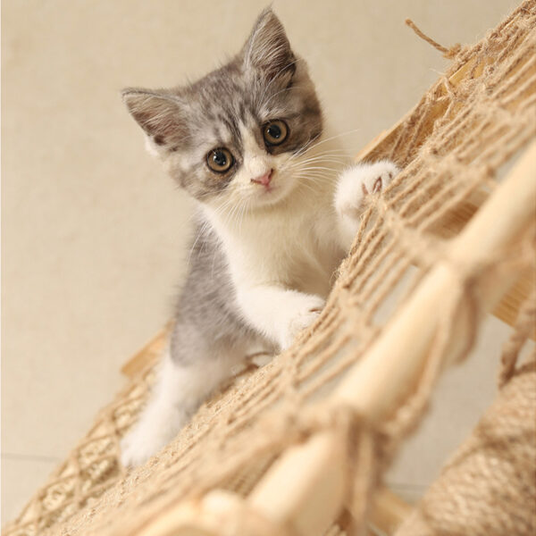 Large Cat Tree Scratching Post Climbing Frame Play Bed Toy Tower - Image 6