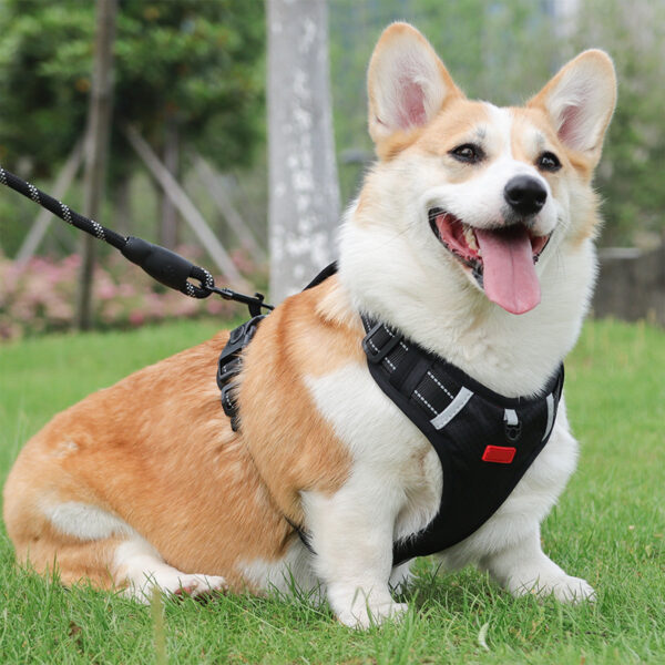 Best Dog Harness Vest Comfort Security Reflective Strips Pet Harness - Image 6