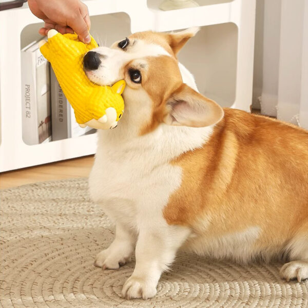 Pet Dog Chew Toys Supplier Small Pet Chew Toys - Image 6