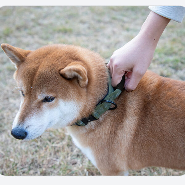 Tactical Reflective Nylon Pet Collar for Medium Large Dogs - Image 5