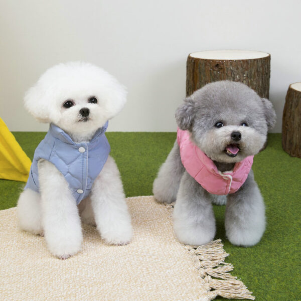 Winter Cotton Coat With Leashes Buckle For Small Dog - Image 3