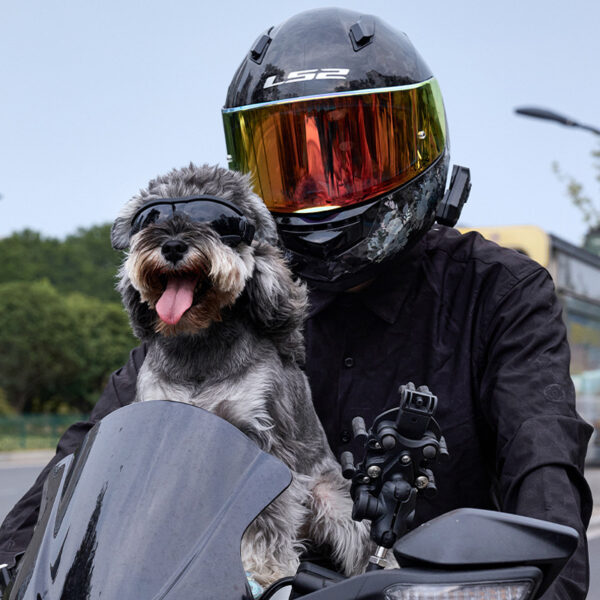 New Pet Cool Goggles Glasses with UV protection and Adjustable - Image 3